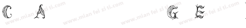 Cf AdaptiveGrExt Reg字体转换